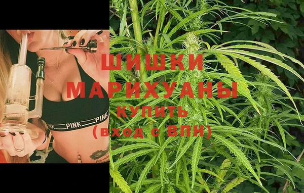 индика Майский