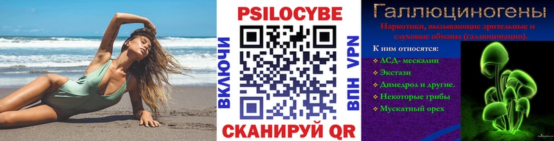 блэк спрут как зайти Сертолово Псилоцибиновые грибы Magic Shrooms