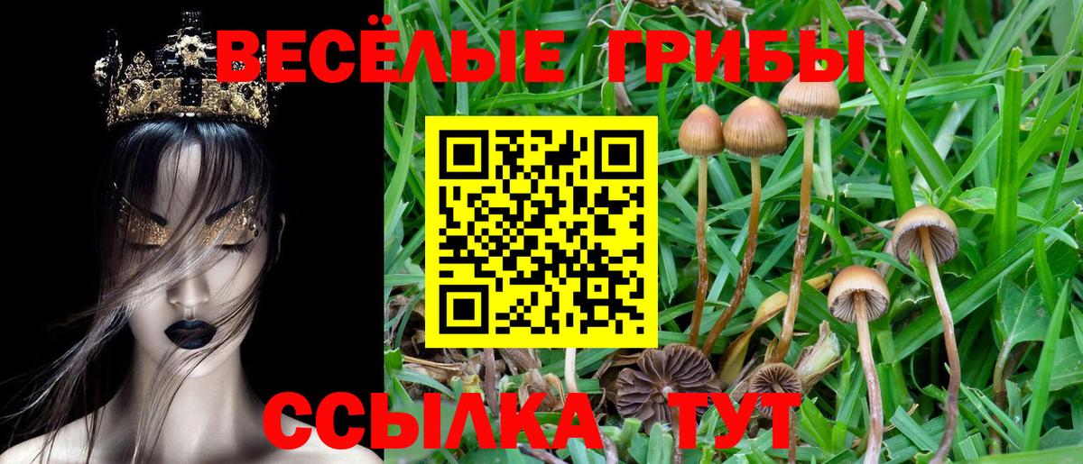 Псилоцибиновые грибы прущие грибы Сертолово