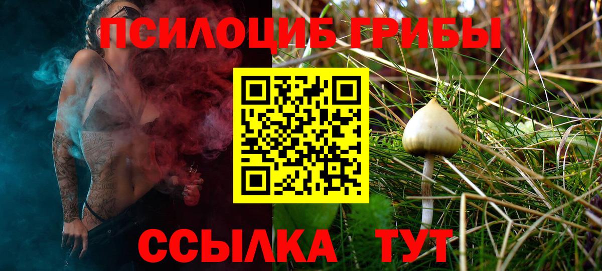 Псилоцибиновые грибы GOLDEN TEACHER  Псилоцибиновые грибы мицелий  Сертолово  Вход с VPN 